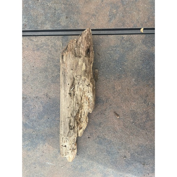 Other - Natural Driftwood for Plants Terrarium Taxidermy Art‎ Projects